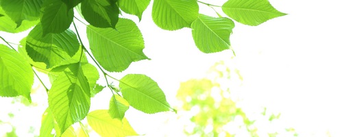 fotowa �t�H�g���̔��T�C�g��